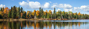 Autumn Lake Trees