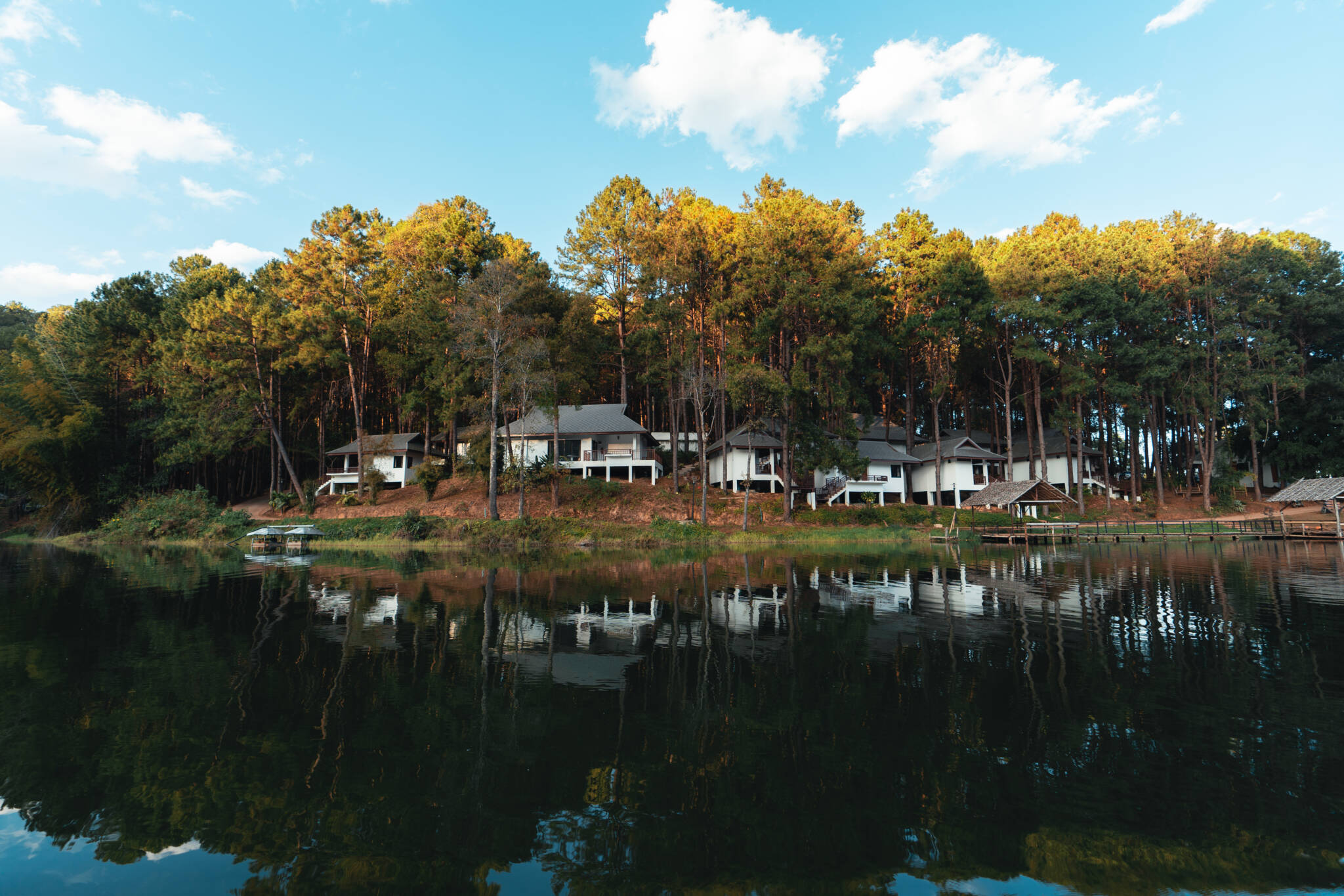 Nature Lake And Forest Camping Location