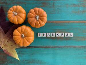 Fall Flat Lay With Pumpkins Leaves On Green Wood 2025 01 16 11 16 44 Utc